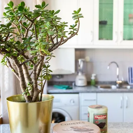 Appartamento Sunset Relaxing With Terrace, Parking & Bikes Oporto