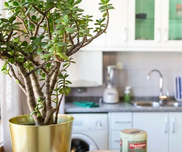 Апартаменты Sunset Relaxing With Terrace, Parking & Bikes Порту